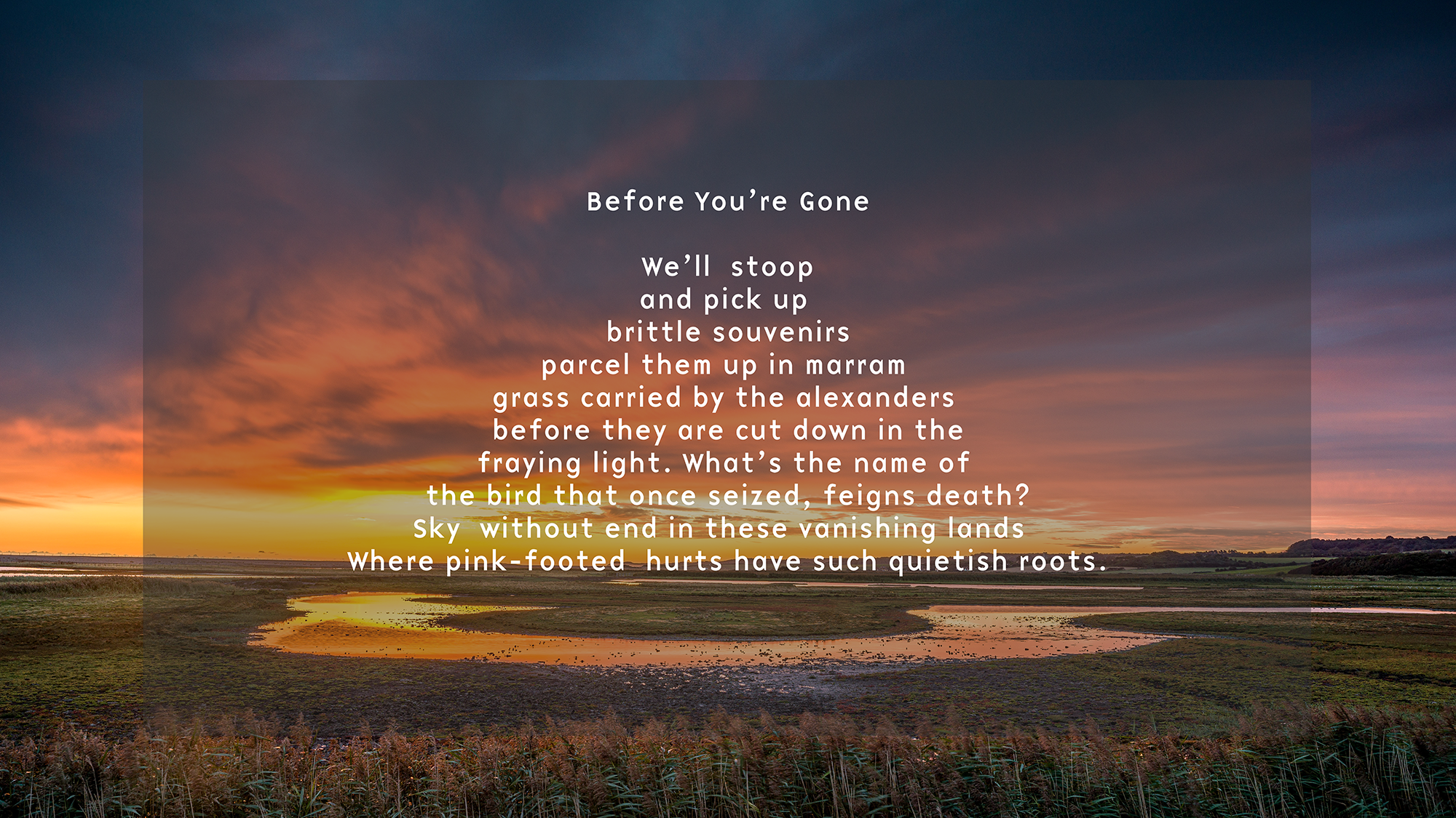 image of Cley with the poem Before You're Gone in text