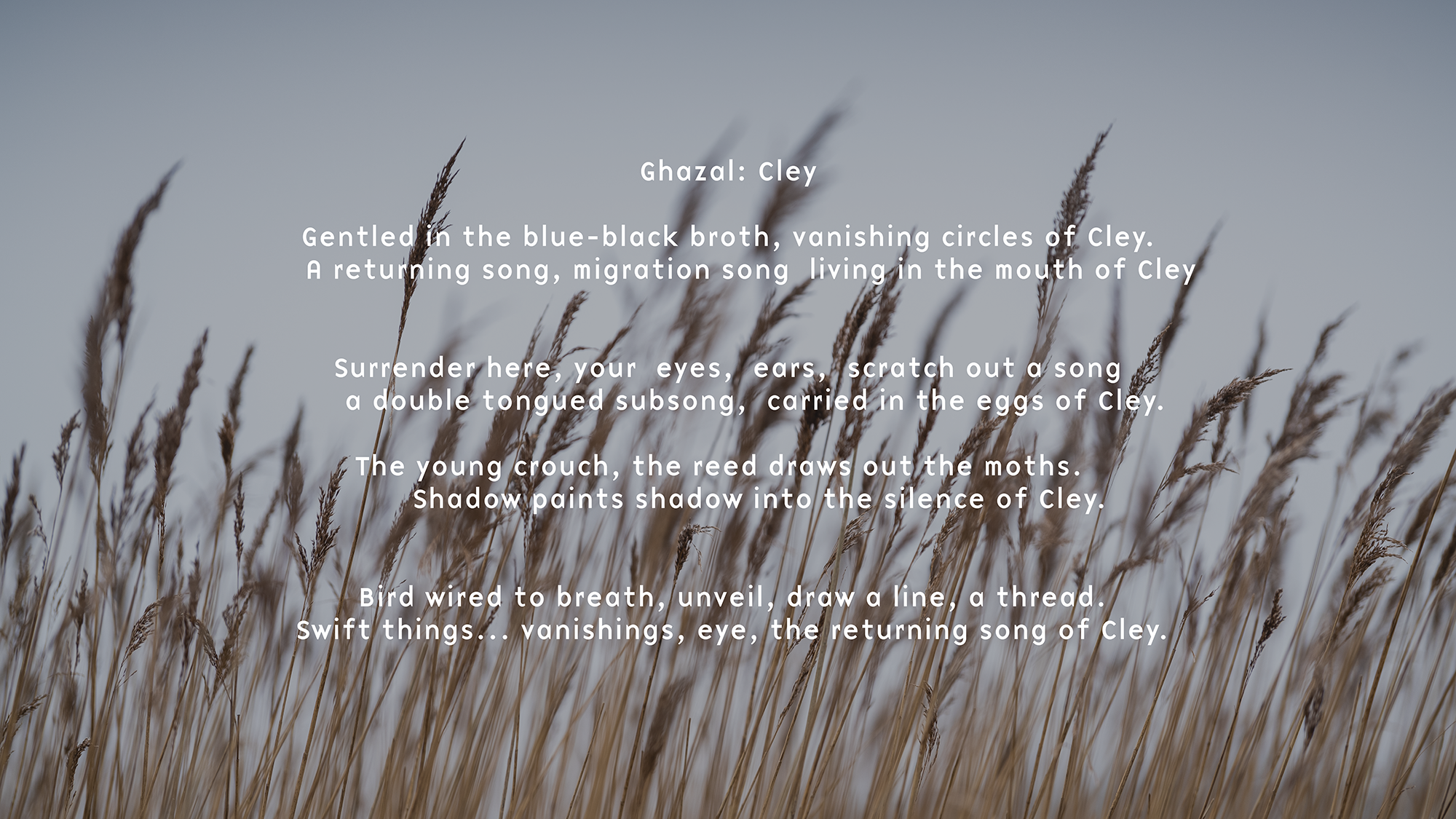 image of Cley with the poem Ghazal: Cley in text