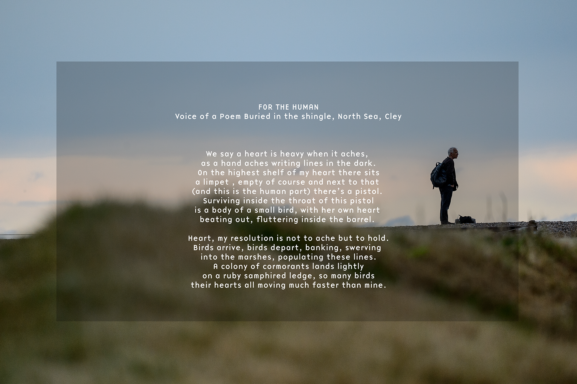 image of Cley with the poem Syllabising the birds in text