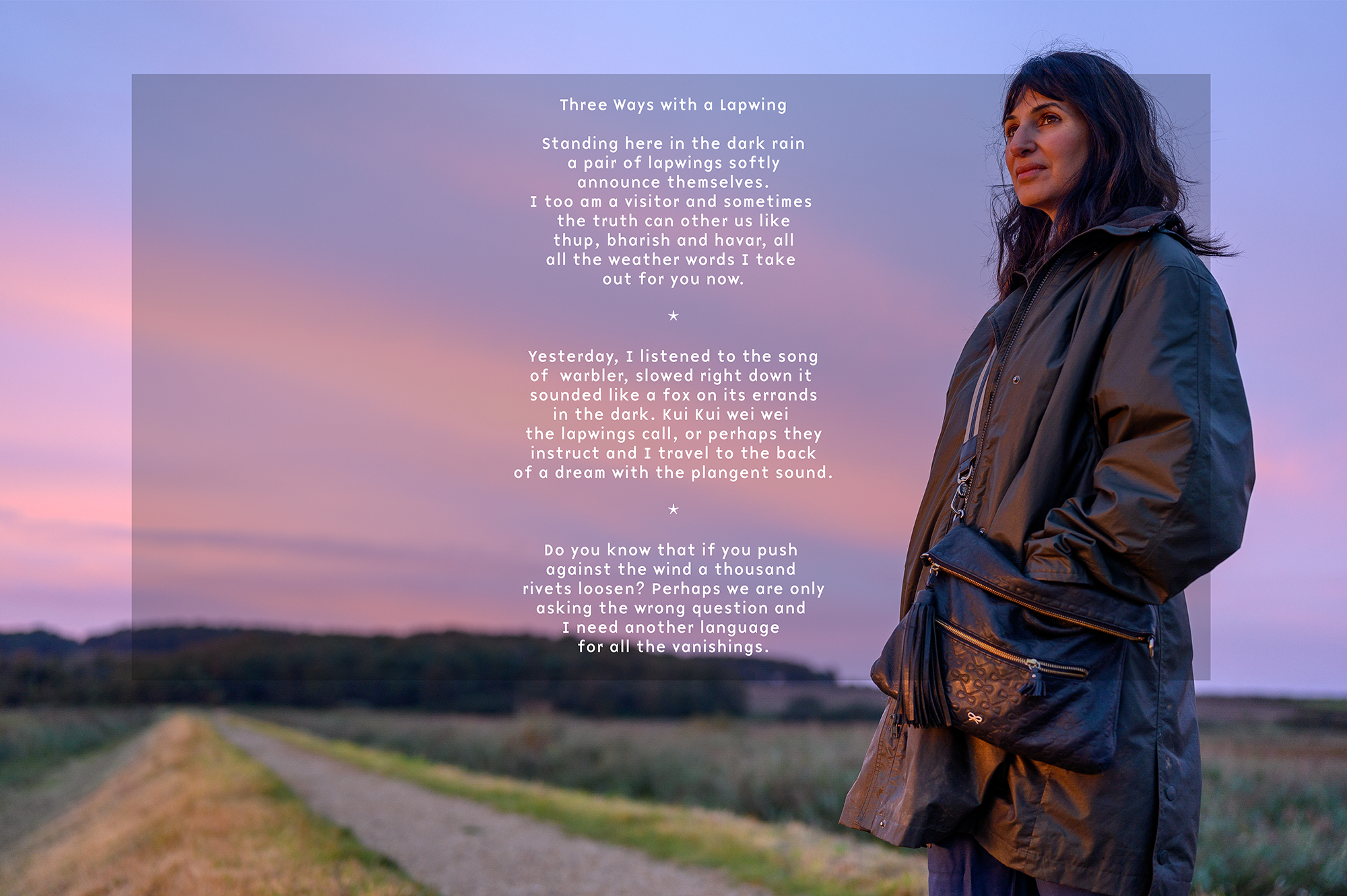 image of Cley with the poem Three Ways with a Lapwing in text