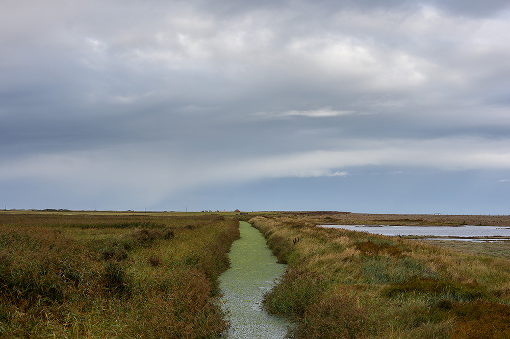 photo of marshes at cley